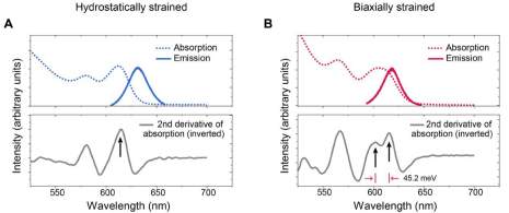 鑫圖 400BSI V3 | 非對稱應(yīng)變的膠體量子點(diǎn)的發(fā)射方向性的增強(qiáng)